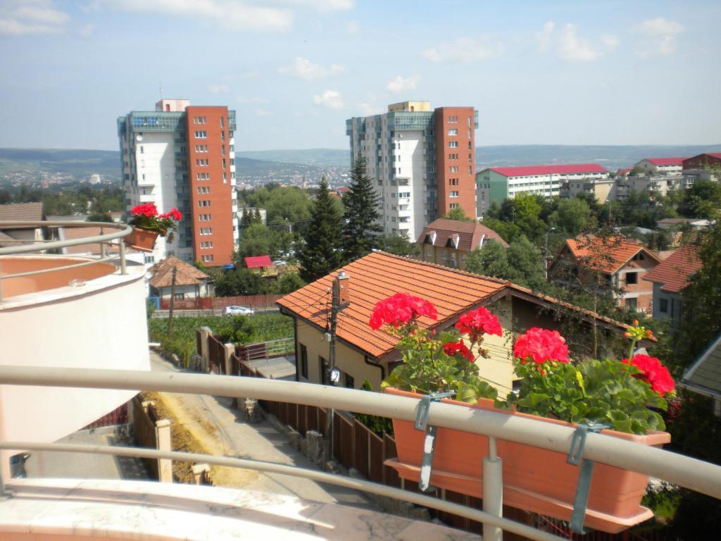 Pension Cluj Exteriér fotografie